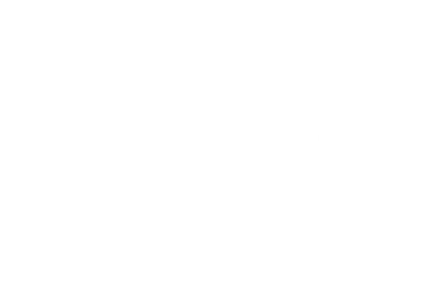 Lost Raven Leatherwork